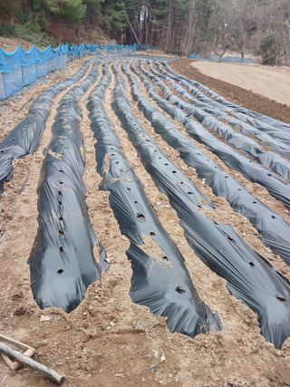 전국하님의 자유주제 · 자유게시판 작성글 사진