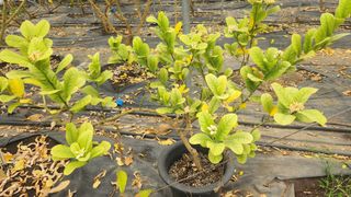 정미리님의 작성글 사진