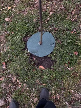 장기범님의 2025 풍년들게 하소서! · 참여글 작성글 사진