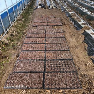 박용열조물주님 님의 자유주제 · 자유게시판 작성글 사진