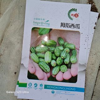 박용열조물주님 님의 자유주제 · 자유게시판 작성글 사진