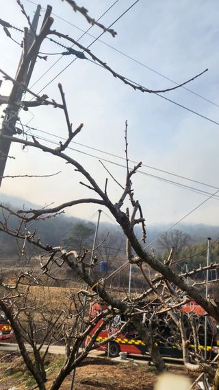 도내숲길농원님의 산불 피해 괜찮으신가요? · 참여글 작성글 사진
