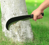 팜모닝 · 게시글 이미지