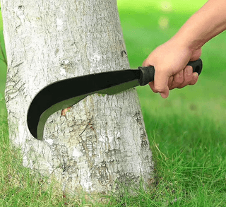 다이쏘(권자영)님의 작성글 사진