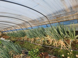 갑돌이님의 자유주제 · 자유게시판 작성글 사진