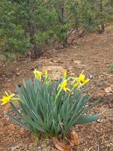 팜모닝 자유주제·자유게시판 게시글 이미지