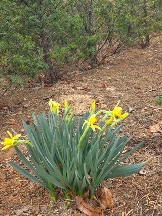 정정호님의 자유주제 · 자유게시판 작성글 사진