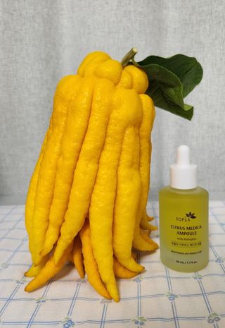 정미리님의 작성글 사진