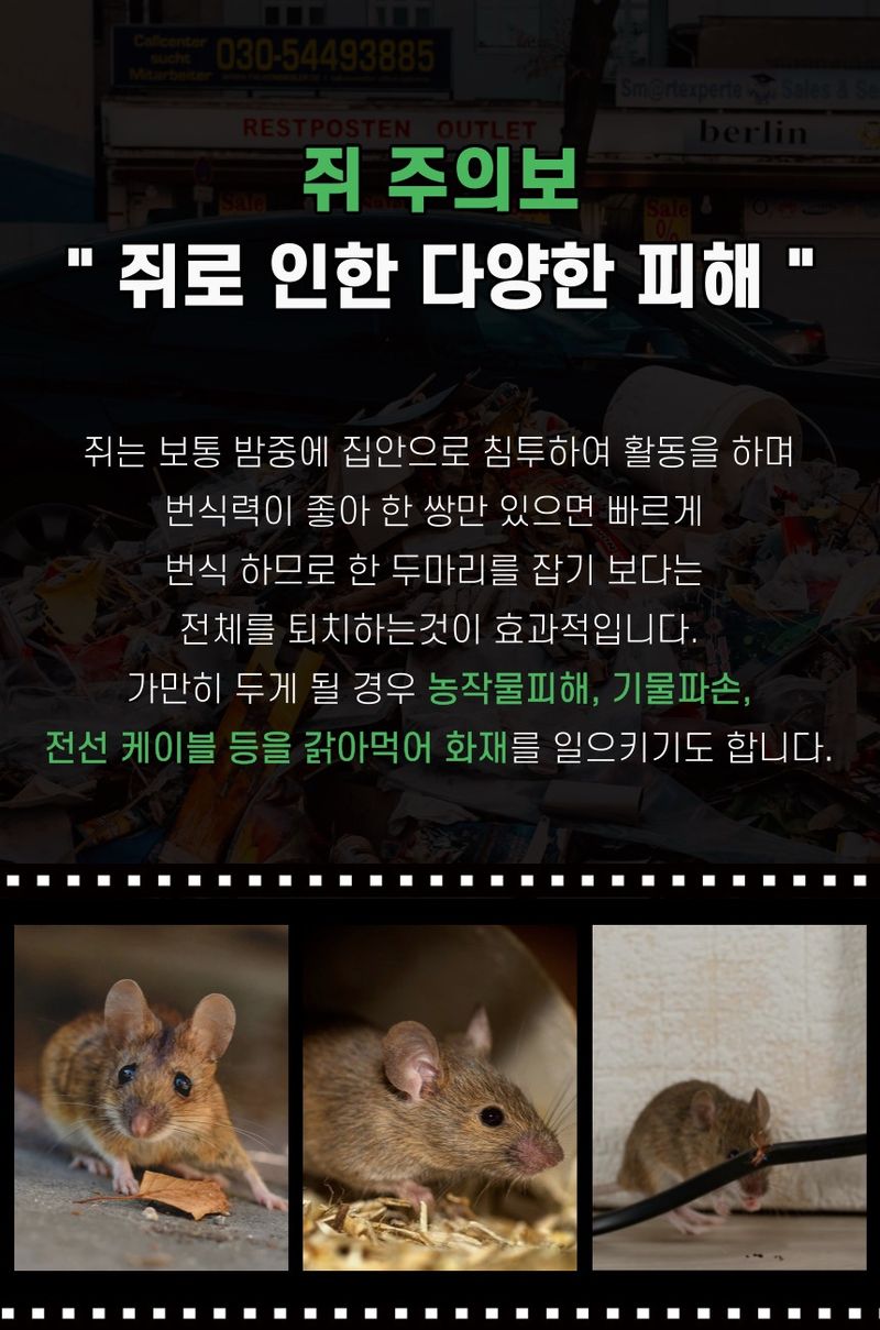 플랜큐님의 장터 판매 상품 [강력 쥐약 쥐싹올킬 500g] 첨부 사진