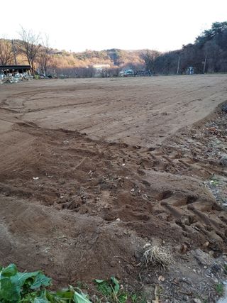 포도13918님의 2025 풍년들게 하소서! · 참여글 작성글 사진