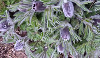 이정운님의 자유주제 · 자유게시판 작성글 사진