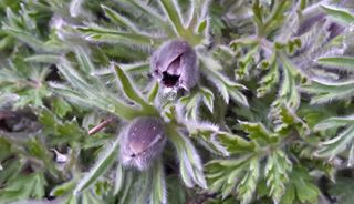 이정운님의 자유주제 · 자유게시판 작성글 사진