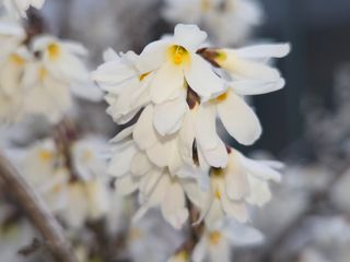쌍둥이네농장님의 자유주제 · 건의해요 작성글 사진