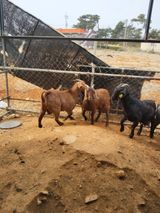 팜모닝 자유주제·자유게시판 게시글 이미지