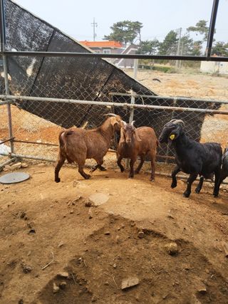 김석현님의 자유주제 · 자유게시판 작성글 사진