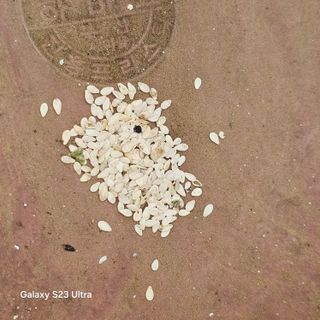 박용열조물주님 님의 자유주제 · 자유게시판 작성글 사진