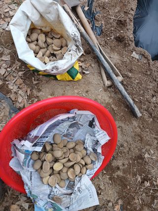 전국하님의 자유주제 · 자유게시판 작성글 사진