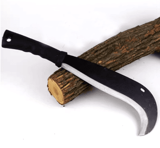 다이쏘(권자영)님의 작성글 사진