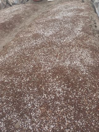 무료지식나눔 팜닥터님의 자유주제 · 자유게시판 작성글 사진