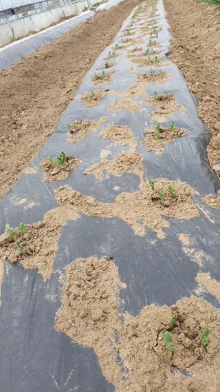이서구님의 자유주제 · 자유게시판 작성글 사진