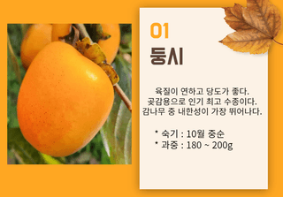 일심묘목농원님의 작성글 사진