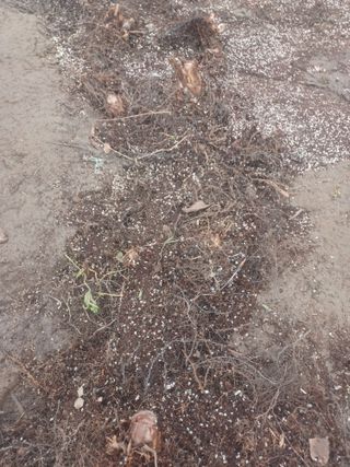 무료지식나눔 팜닥터님의 자유주제 · 자유게시판 작성글 사진