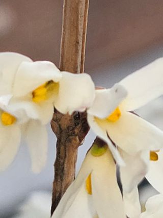 쌍둥이네농장님의 자유주제 · 건의해요 작성글 사진