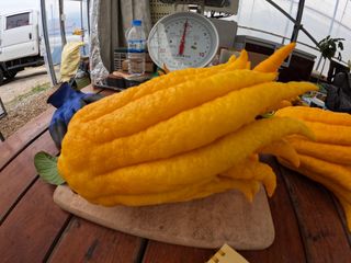 정미리님의 자유주제 · 자유게시판 작성글 사진