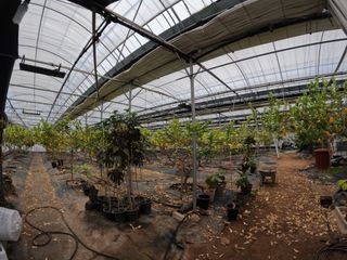 정미리님의 작성글 사진