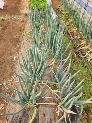 갑돌이님의 자유주제 · 자유게시판 작성글 사진