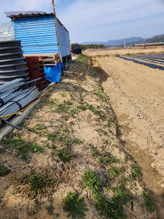보은 김영순님의 자유주제 · 자유게시판 작성글 사진