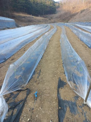 알 수 없음님의 자유주제 · 자유게시판 작성글 사진