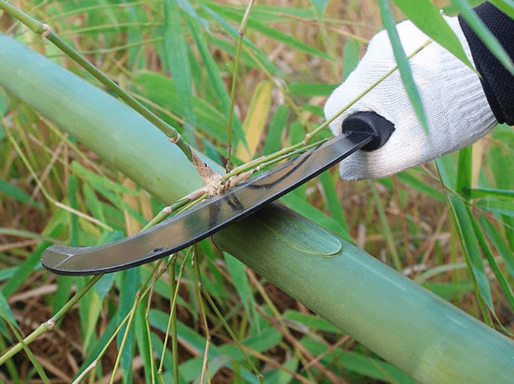 다이쏘(권자영)님의 장터 판매 상품 [품질좋은 정글낫 1+1] 첨부 사진