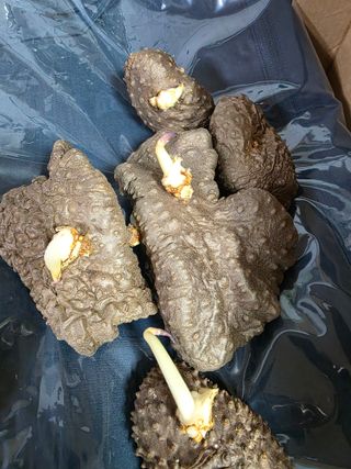 정정호님의 자유주제 · 자유게시판 작성글 사진