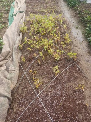 무료지식나눔 팜닥터님의 자유주제 · 자유게시판 작성글 사진