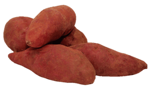 엔피코뉴스님의 자유주제 · 자유게시판 작성글 사진