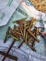 팜모닝 2025 풍년들게 하소서!·참여글 게시글 이미지