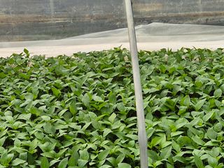 김영진(전남영광)님의 자유주제 · 자유게시판 작성글 사진