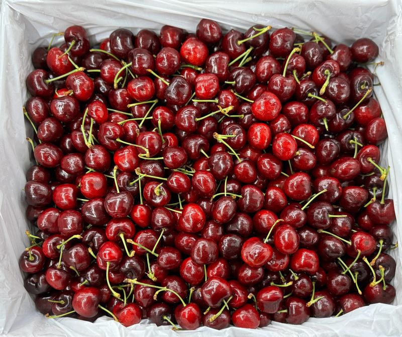 농부손녀님의 장터 판매 상품 [[과일계의 다이아몬드] 새콤달콤한 맛, 왕체리 생체리 5kg] 첨부 사진