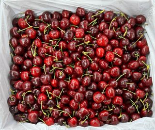 농부손녀님의 작성글 사진