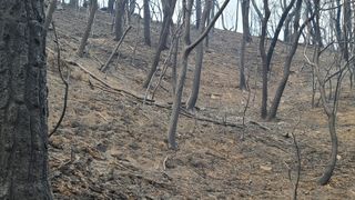 이동걸님의 자유주제 · 자유게시판 작성글 사진