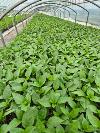 김영진(전남영광)님의 자유주제 · 자유게시판 작성글 사진