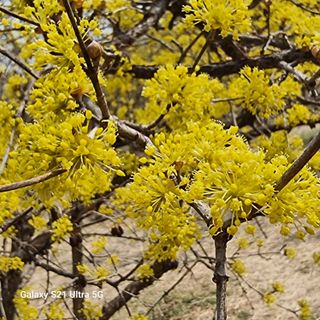 이천산수유님의 자유주제 · 자유게시판 작성글 사진