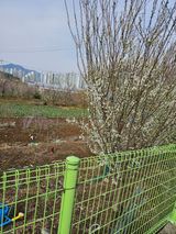 팜모닝 산불 피해 괜찮으신가요?·참여글 게시글 이미지