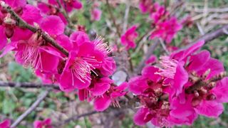 이정운님의 자유주제 · 자유게시판 작성글 사진