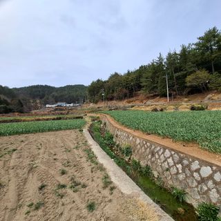 오영도님의 자유주제 · 자유게시판 작성글 사진