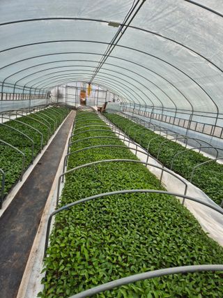 김영진(전남영광)님의 자유주제 · 자유게시판 작성글 사진