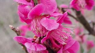 이정운님의 자유주제 · 자유게시판 작성글 사진