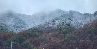 고추건조기부품판매님의 자유주제 · 자유게시판 작성글 사진