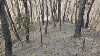 이동걸님의 자유주제 · 자유게시판 작성글 사진